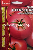 Томат Могучий карлик (Редкие) РТ-00005019