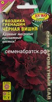 Цветы Гвоздика Гренадин Черная вишня (Аэлита-экстра) РТ-00004889