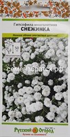 Цветы Гипсофила Снежинка многолет (НК) ЯН-00000358