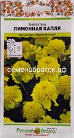 Цветы Бархатцы Лимонная капля (НК) РТ-00005239