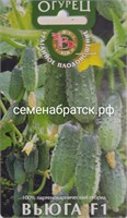 Огурец Вьюга F1 (Биотехника) РТ-00000266