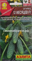 Огурец 12 месяцев F1 (Аэлита) Я1-00000748