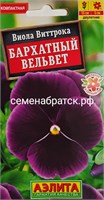 Цветы Виола Бархатный вельвет (Аэлита) РТ-00002836