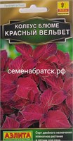 Цветы Колеус Блюме Красный вельвет (Аэлита) К1-00001034