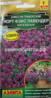 Цветы Алиссум Норт Фэйс лавендер каскадный (Аэлита) РТ-00005625