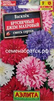 Цветы Василек Брусничный джем смесь (Аэлита) СЦ-00000236