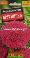 Цветы Астра Брусничка (Аэлита) ЯН-00000084
