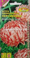 Цветы Астра Персиковая пионовид (Евро экстра) К1-00000198