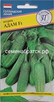 Огурец Адам F1 (Престиж) Я1-00000749