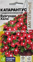Цветы Катарантус Бургунди Хало ампельный (Семена Алтая) РТ-00005788