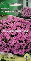 Цветы Агератум Роззовый шар (СдС Красноярск) РТ-00005795