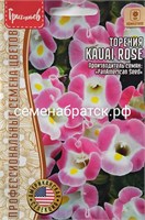 Цветы Торения Каваи Роуз  (Редкие) РТ-00005857