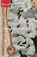 Цветы Торения Каваи Вайт (Редкие) РТ-00005858
