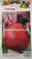 Свекла Мулатка (Гавриш) СЦ-00000578