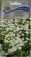 Цветы Камнеломка Белый ковер (Поиск) РТ-00005883