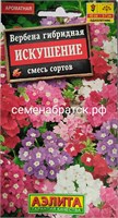 Цветы Вербена Искушение смесь (Аэлита) СЦ-00000125