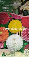 Цветы Георгина Помпонная смесь (СдС Красноярск) РТ-00002498