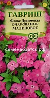 Цветы Флокс Друммонда Очарование малиновое (Гавриш) ЯН-00000720