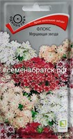 Цветы Флокс Мерцающая звезда смесь (Поиск) РТ-00005912