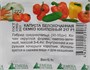 Капуста б/к Семко Юбилейный 217 F1 б/пакет (СдС Красноярск) РТ-00001211 - фото 501556